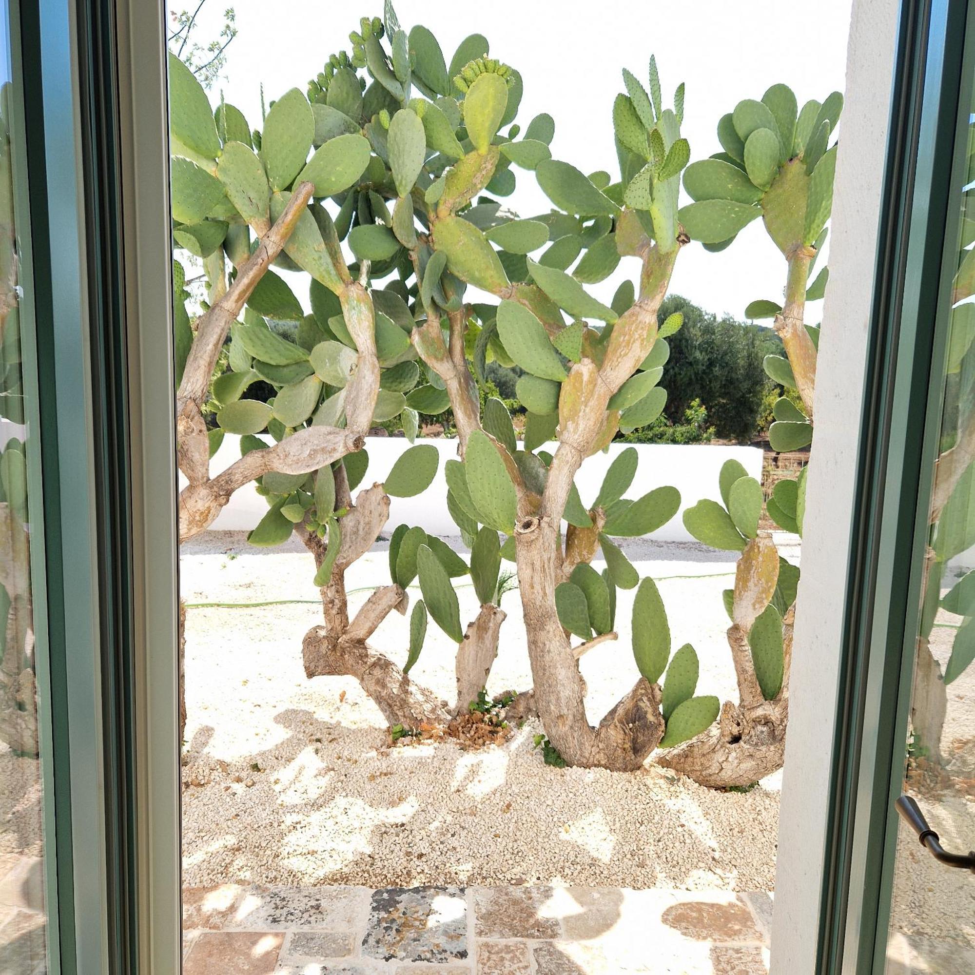 Masseria Paradiso Ostuni Exteriör bild